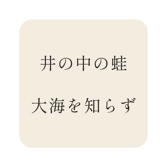 井の中の蛙大海を知らず／生成り／明朝（横書き）／S
