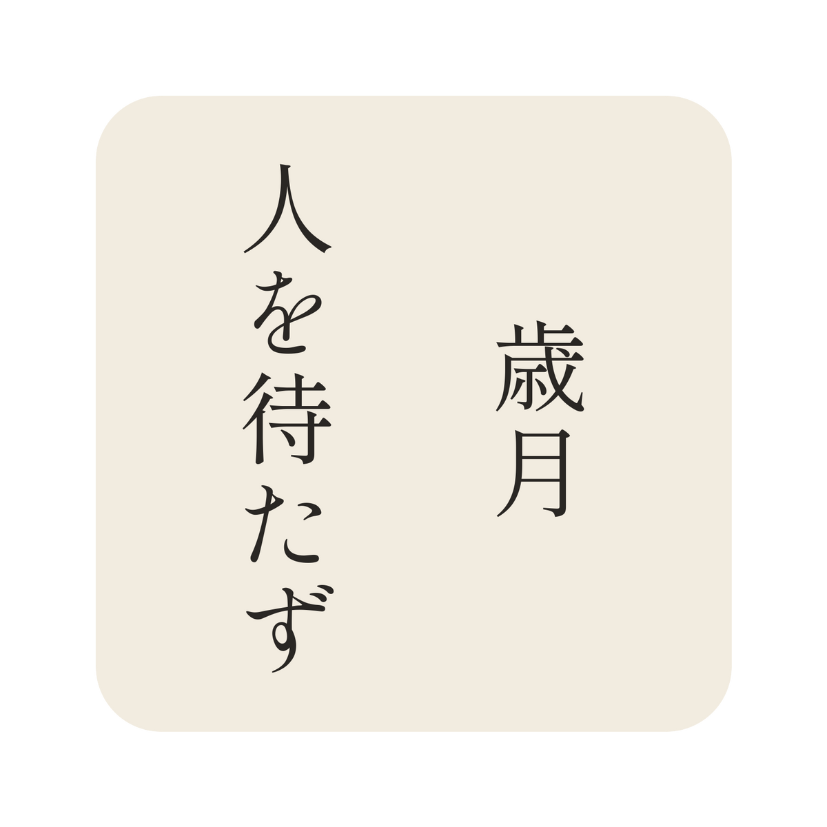歳月人を待たず／生成り／明朝（縦書き）／S