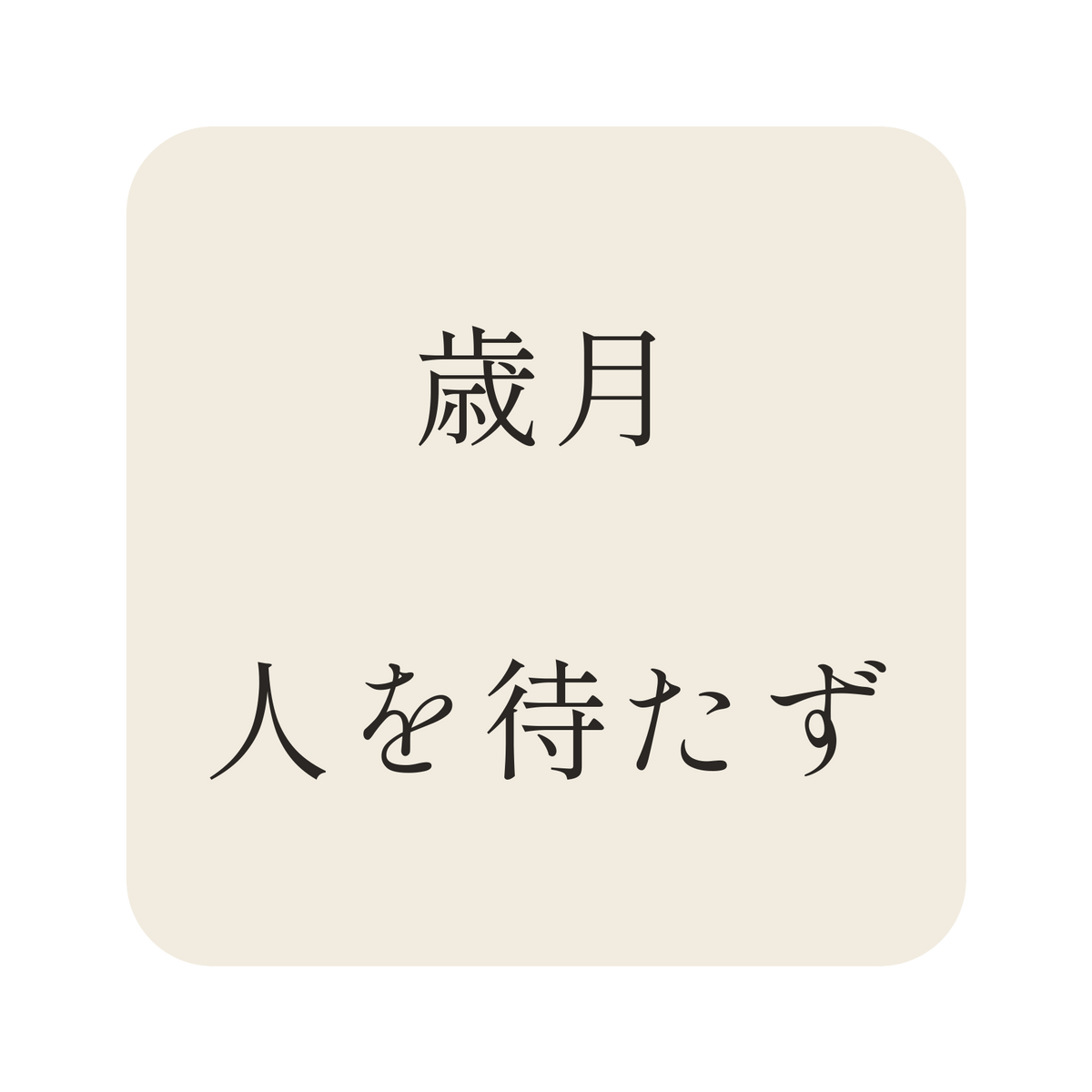 歳月人を待たず／生成り／明朝（横書き）／S