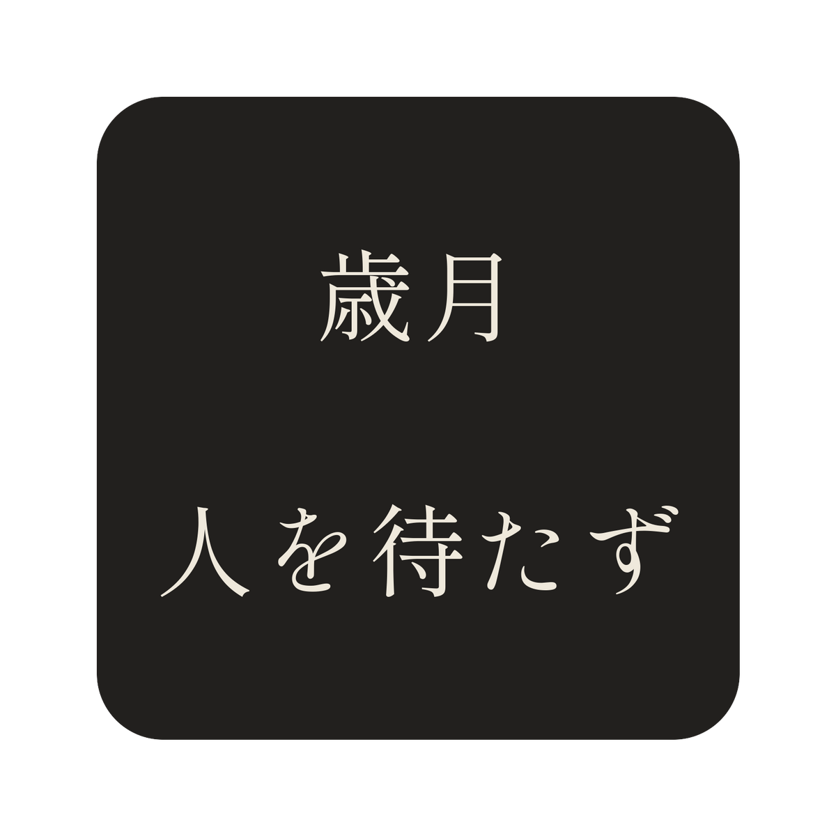 歳月人を待たず／墨／明朝（横書き）／S